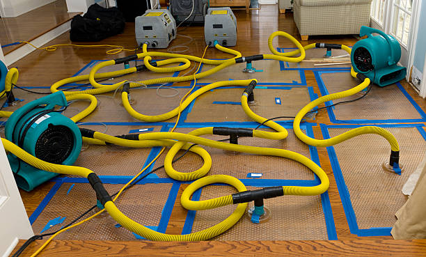 Professional Water Damage Repair technician working in Evanston, WY
